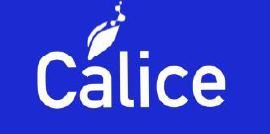 CALICE Logo