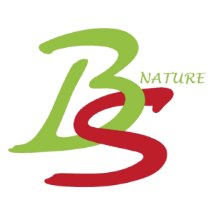 BIOSABOR NATURE Logo