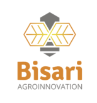 BISARI Logo