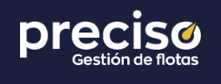 CICLOS PRECISO Logo