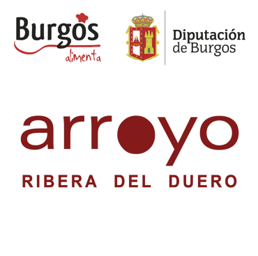 BODEGA S.ARROYO, S.L.U. Logo